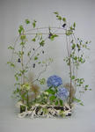 blogimage07072104.jpg.JPG
