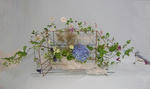 blogimage07072105.jpg.JPG