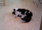 blogimage070806-01.JPG