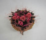 blogimage070811-02.JPG