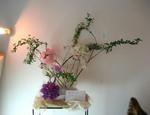 blogimage080223-05.JPG