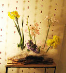 blogimage080223-04.JPG