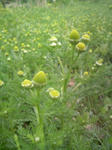 blogimage080528-01.JPG