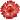 絵文字_実写系花