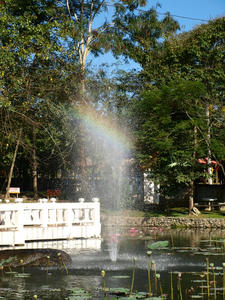 59.JPG