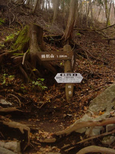 76c30db5.JPG