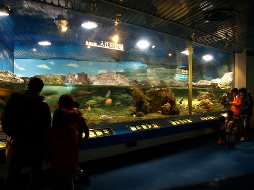 P3276945.JPG
