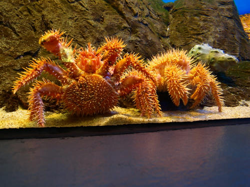 P3276946.JPG