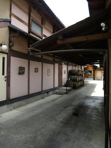 P4247186.JPG