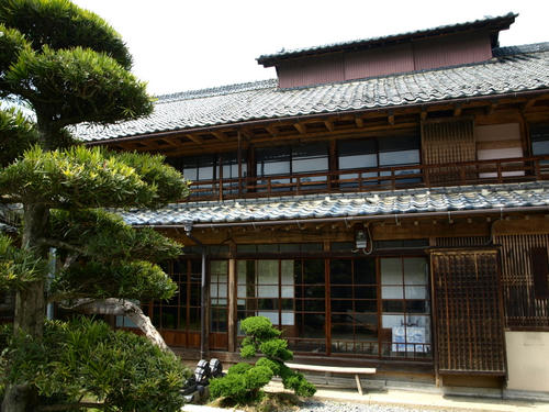 P4247195.JPG