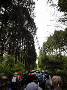 DSC01248.JPG