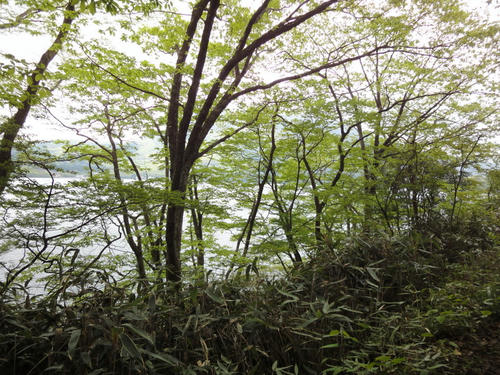 DSC01253.JPG