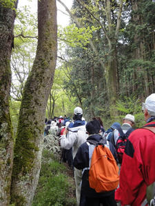 DSC01256.JPG