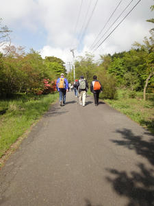 DSC01289.JPG