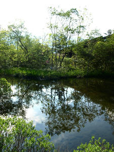 P5167460.JPG