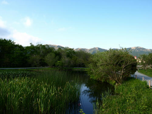 P5167463.JPG