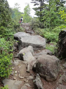 DSC01454.JPG