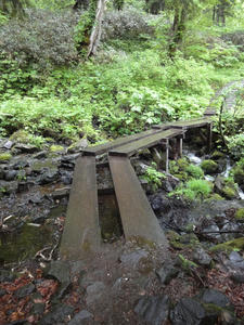 DSC01485.JPG