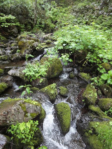 DSC01486.JPG