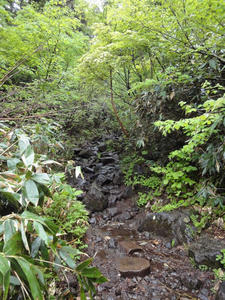DSC01487.JPG