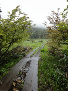 DSC01488.JPG