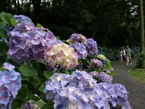 P7037642.JPG