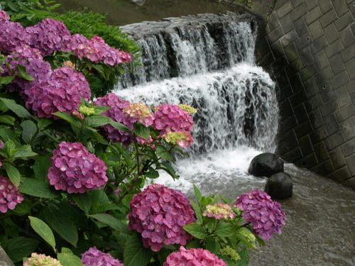 P7037663.JPG