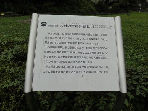 DSC01649.JPG