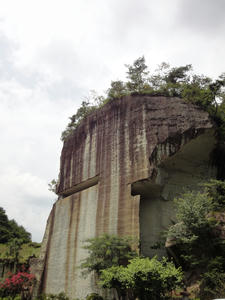 DSC01594.JPG