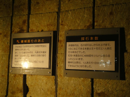 DSC01618.JPG