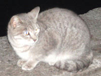 1216042.jpg