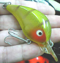 0107002.jpg
