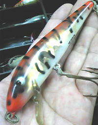 0107004.jpg