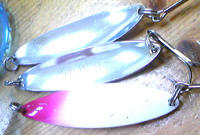 0201001.jpg