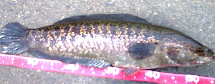 0606056.jpg