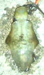 0919001.jpg