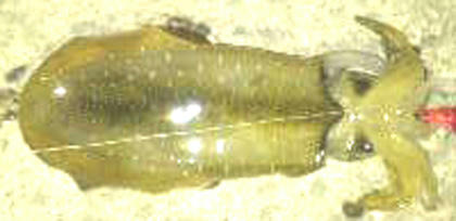 0923021.jpg