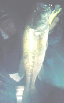 0928020.jpg
