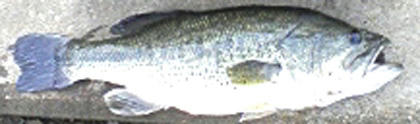 0930001.jpg