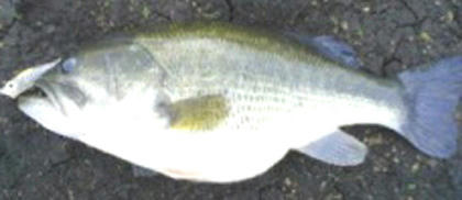0930011.jpg