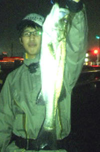 0930052.jpg