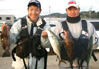 1202061.jpg