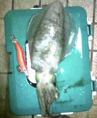 1202040.jpg