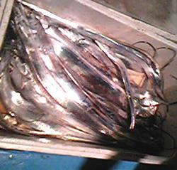 0911021.jpg