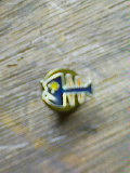 pin12.jpg