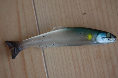 魚さかなサカナ?