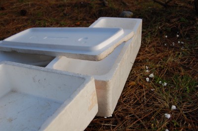 発砲スチロール（親玉）