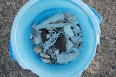 浜のゴミ＠15日目