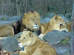 20081001.jpg