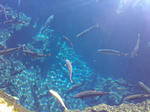 20081003.jpg